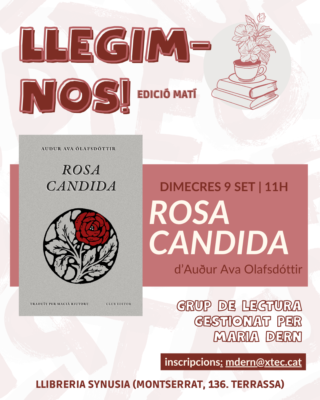 rosa candida