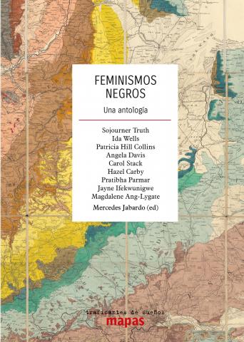 Portada llibre Feminismos negros