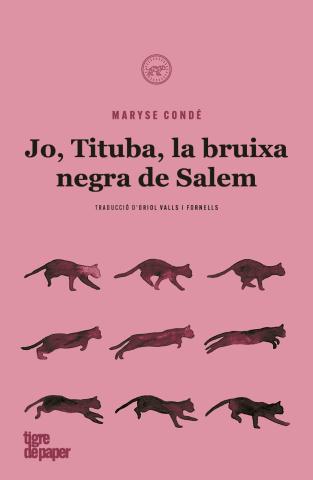 Cartell llibre Jo, Tituba, bruixa negra de Salem