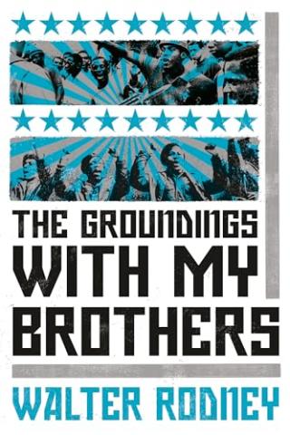 Portada llibre The groundings with my brothers