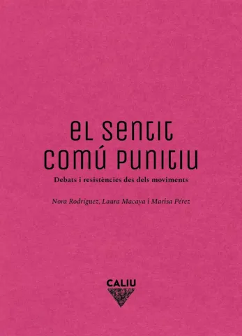 El sentit comú punitiu