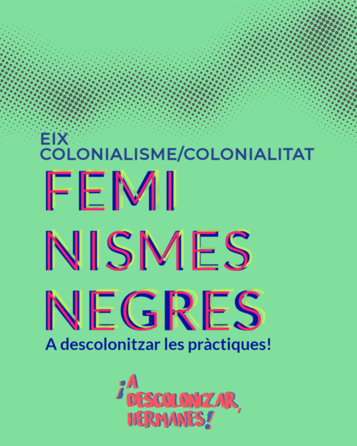 feminismes negres