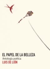 El papel de la belleza