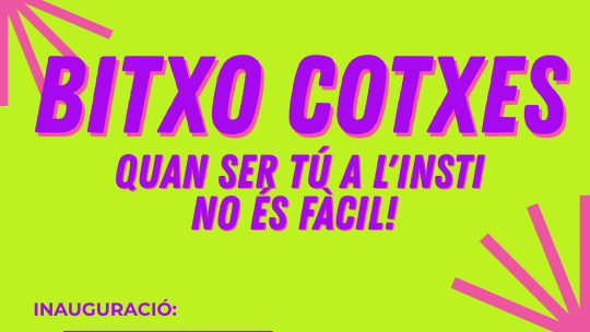 bitxo cotxes