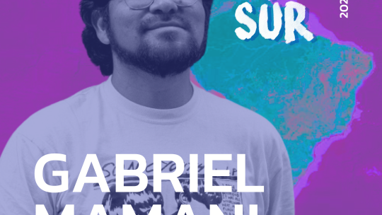 Gabriel Mamani Magne