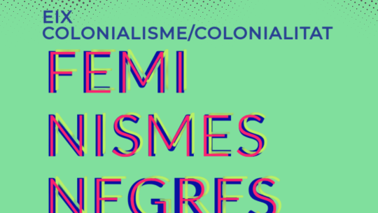 feminismes negres