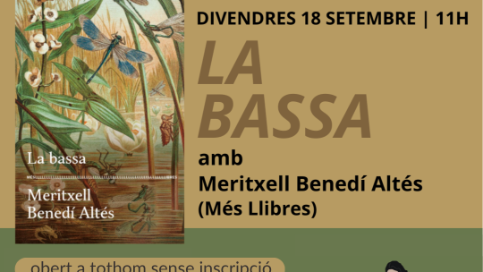 la bassa